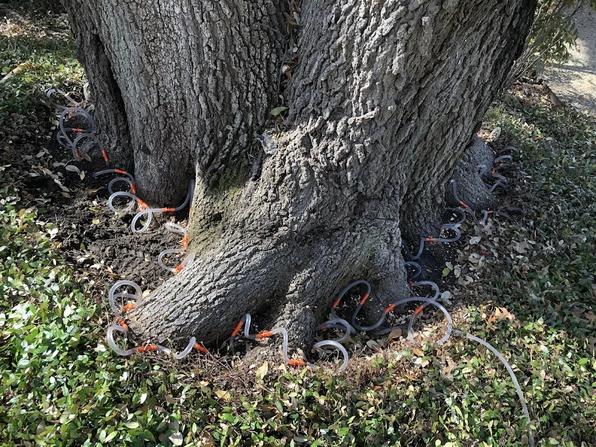 Detailed Shrub and Hedge Trimming job site in Rock