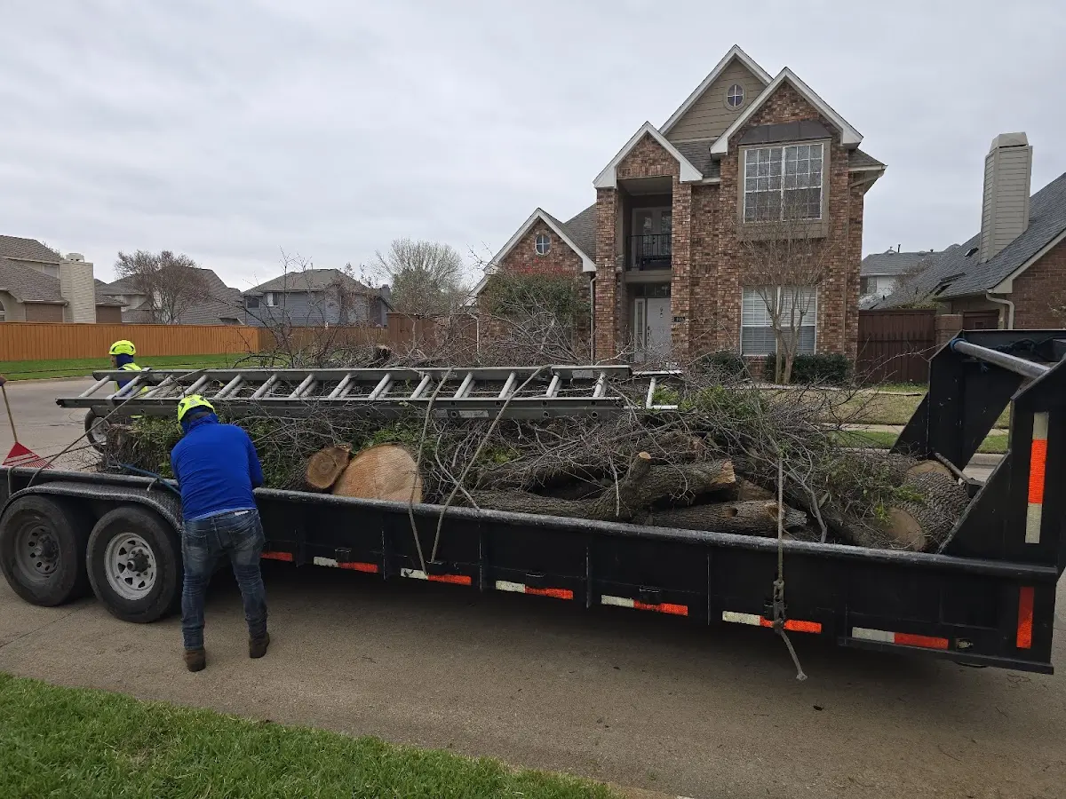 Expert Lot Clearing with proper safety equipment in Rock